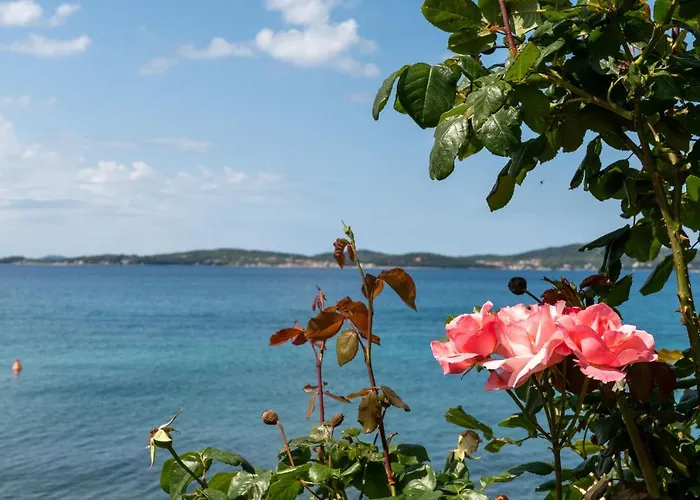 Lejlighed The Penthouse