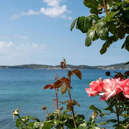 Appartement The Penthouse